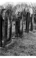 Tombstones in Autumn Gothic Notebook: Graveyard Gothic Series