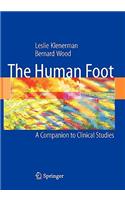 Human Foot