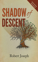 Shadow of Descent