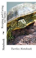 Keeping and Caring for Turtles