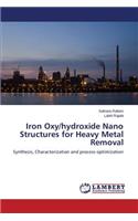 Iron Oxy/hydroxide Nano Structures for Heavy Metal Removal