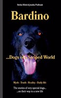 Bardino