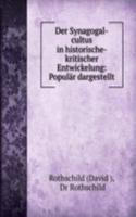 Der Synagogal-cultus in historische-kritischer Entwickelung: Popular dargestellt