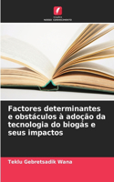 Factores determinantes e obstáculos à adoção da tecnologia do biogás e seus impactos