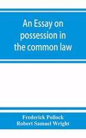essay on possession in the common law