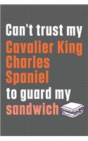 Can't trust my Cavalier King Charles Spaniel to guard my sandwich: For Cavalier King Charles Spaniel Dog Breed Fans