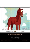 The Red Pony