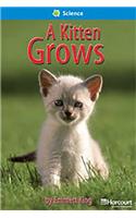 Storytown: On Level Reader Teacher's Guide Grade 1 Kitten Grows