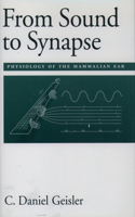 From Sound to Synapse