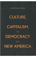Culture,Capitalism,and Democracy in the New America
