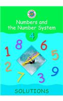 Cambridge Mathematics Direct 4 Numbers and the Number System Solutions