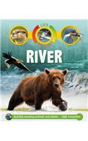 Life Cycles: River
