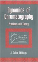 Dynamics of Chromatography