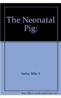Neonatal Pig