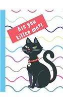 Are You Kitten Me?!