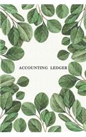 Accounting Ledger