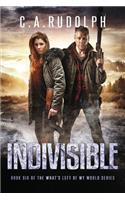 Indivisible: Book Six of the What's Left of My World Series(6 What's Left of My World)