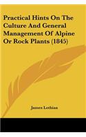 Practical Hints On The Culture And General Management Of Alpine Or Rock Plants (1845)