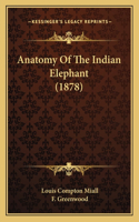 Anatomy Of The Indian Elephant (1878): (English)
