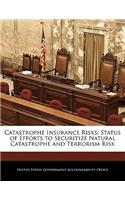 Catastrophe Insurance Risks