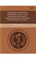 Development of Methods to Identify Rnas with 2'3' Cyclic Phosphate Termini and to Determine of Genome Architecture in Saccharomyces Cerevisiae