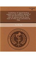 Localization of Ligand-Binding Exosites in the Catalytic Domain of Fxia and Determination of the Roles of Calcium and the Heavy Chain of Fxia in Fix a