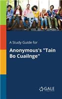 Study Guide for Anonymous's "Tain Bo Cuailnge"