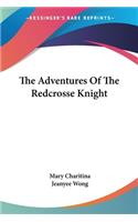 The Adventures Of The Redcrosse Knight