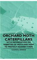 Orchard Moth Caterpillars - With Information on Varieties of Moth and How to Protect Against Them