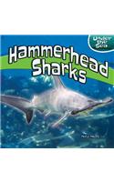 Hammerhead Sharks
