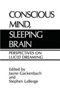 Conscious Mind, Sleeping Brain