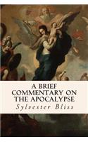 A Brief Commentary on the Apocalypse