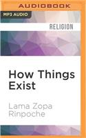 How Things Exist