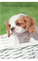 Cavalier King Charles Spaniel July Notebook Cavalier King Charles Spaniel Record, Log, Diary, Special Memories, to Do List, Academic Notepad, Scrapbook & More