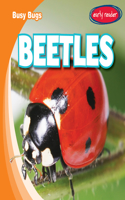 Beetles