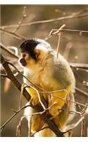 Squirrel Monkey in a Tree Journal: 150 Page Lined Notebook/Diary