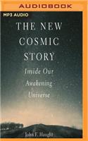 New Cosmic Story