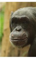 Hello There! Sweet Chimpanzee Monkey Journal: 150 Page Lined Notebook/Diary
