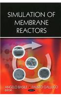 Simulation of Membrane Reactors