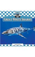 Great White Sharks