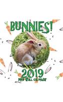 Bunnies! 2019 Mini Wall Calendar