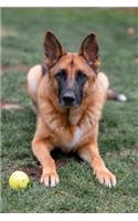 German Shepherd Dog Pup Puppy Doggie Notebook Bullet Journal Diary Composition Book Notepad - Ball Games