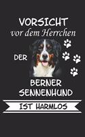 Vorsicht vor dem Herrchen der Berner Sennenhund ist Harmlos