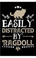 Easily Distracted By Ragdoll