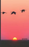 Bird Watching