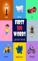 First 100 Words. a Picture Book for Baby