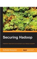 Securing Hadoop: (English)