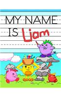 My Name is Liam: Personalized Primary Tracing Workbook for Kids Learning How to Write Their Name, Practice Paper with 1 Ruling Designed for Children in Preschool and(Fun and Educational Books Just for Liam)