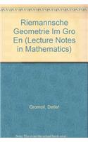 Riemannsche Geometrie Im Gro En