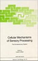 Cellular Mechanisms of Sensory Processing